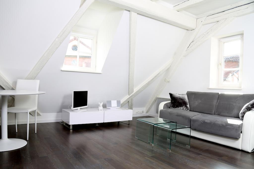 My Sweet Homes - La Grenouillere Hypercentre Colmar Bilik gambar